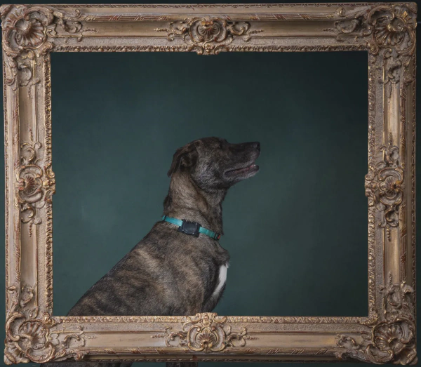 Jamaica Plain Open Studios - 2024